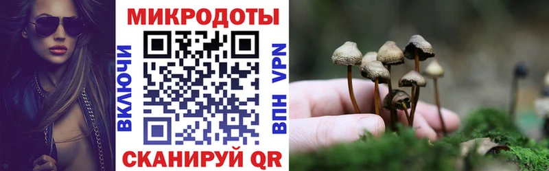 Псилоцибиновые грибы GOLDEN TEACHER Красногорск