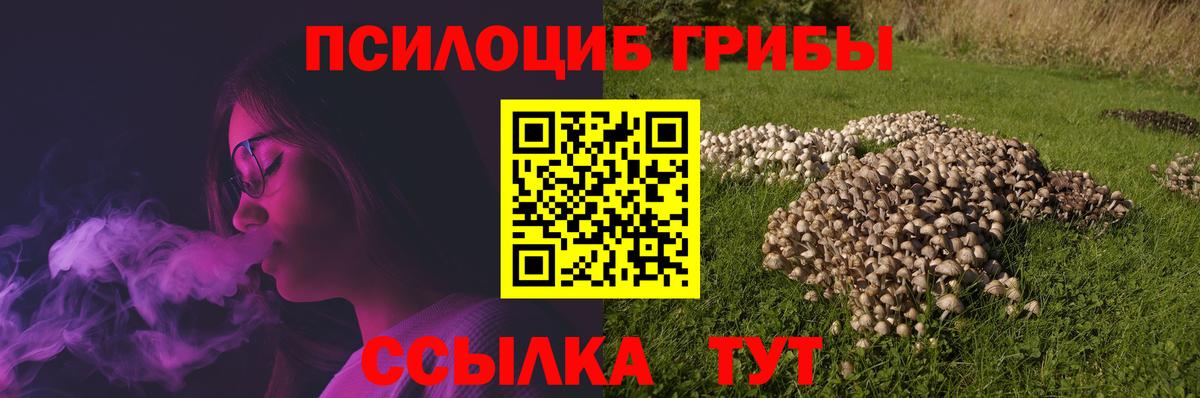 Красногорск  Галлюциногенные грибы мухоморы  Вход с VPN 